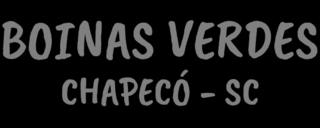 Boinas Verdes