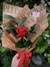 ROSA VERMELHA - comprar online