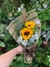 FLOR DO SOL