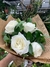 BUQUE 6 ROSAS BRANCAS na internet