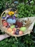 CESTA DE FRUTAS na internet