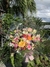 BUQUÊ GRANDES EMOÇÕES - Floricultura Garden Center Blumenau