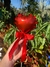 BALÃO VERMELHO PEQUENO