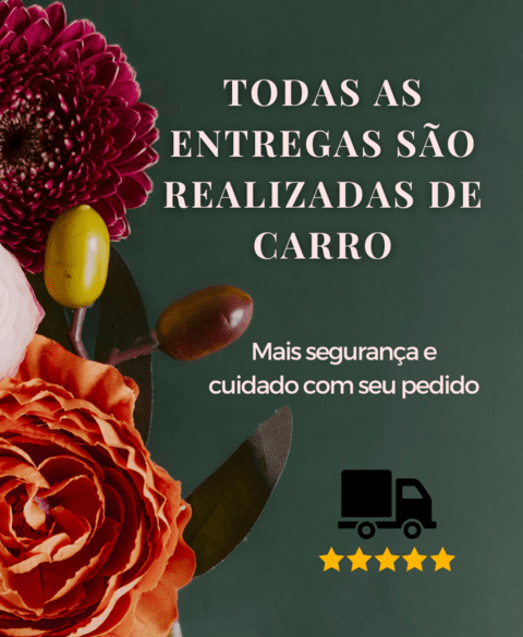 Carrossel 1