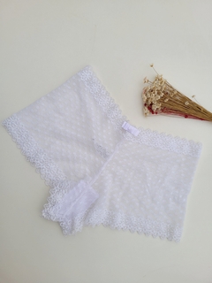 15 - CALCINHA CALESSON - comprar online