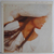Brenda Russell - Kiss Me With The Wind (1990)