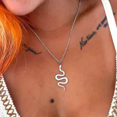 Colar Cobra Lisa Aço inox Prata