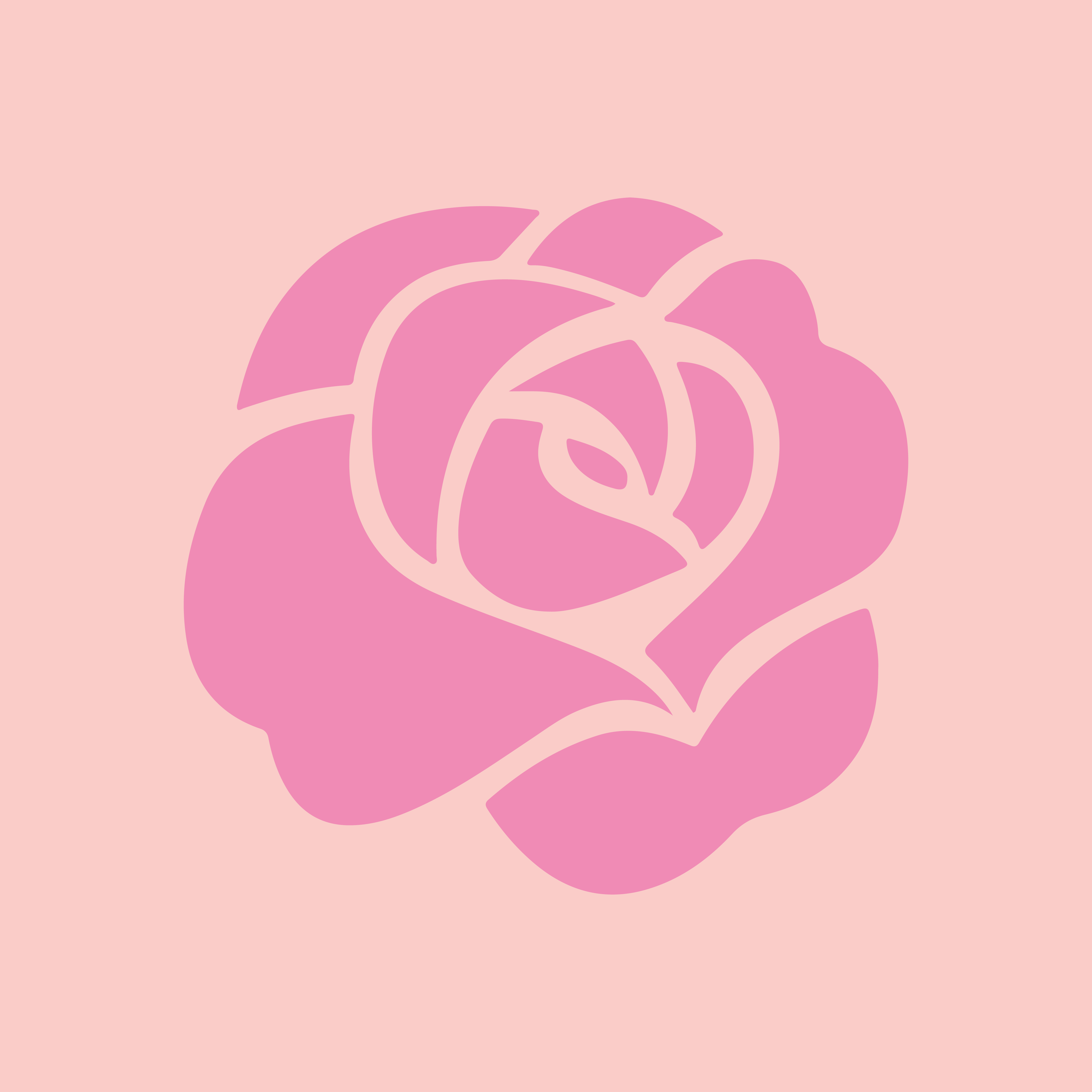 Rosa Decora