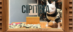 Banner de la categoría Maniquies