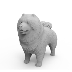 Chow Chow