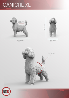 Caniche XL - tienda online