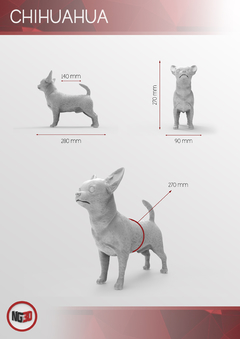 Chihuahua - comprar online