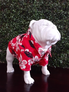 Imagen de Bulldog Inglés