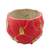 Caja Pitaya - Frutos Tropicales - comprar online
