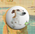 Bottons Memes de Cachorro - Dog Meme na internet