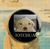 Imagem do Bottons Memes de Cachorro - Dog Meme