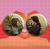Bottons Metadinha - LGBT - Casais - Ships - Amizade - Yaoi - Yuri - loja online