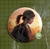 Bottons Jogo of Us - comprar online