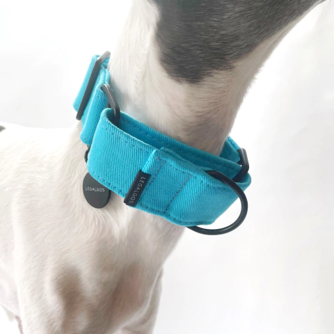 COLEIRA MARTINGALE - Azul Celeste