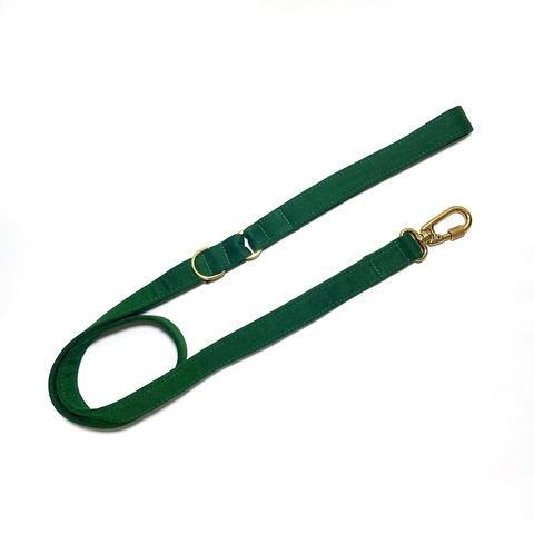 GUIA - Green