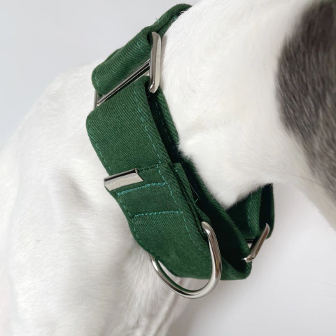 COLEIRA MARTINGALE - Green