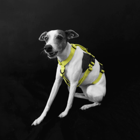 PEITORAL NO ESCAPE - Verde Limão - (cópia)