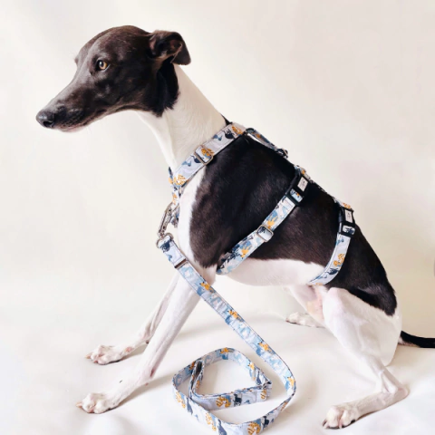 PEITORAL NO ESCAPE - Galgos Cinza