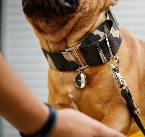 COLEIRA MARTINGALE - Camuflado Army