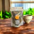 Té blanco Agroecológico - comprar online