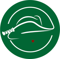 Categoría 4
