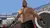 WWE 2K17 - PS4 na internet