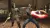 Captain America: Super Soldier - PS3 na internet