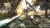 Tom Clancy's Ghost Recon: Advanced Warfighter - Xbox 360 na internet