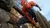 Marvel Spider-Man - PS4 - comprar online