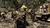 SOCOM 4: U.S. Navy Seals - PS3 na internet