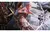 Final Fantasy XIII 2 - Xbox 360 - comprar online