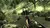 Call of Duty: World at War - Xbox 360 na internet