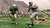 NCAA FOOTBALL 13 - PS3 - comprar online