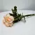 Mimo com 4 Rosas Champagne - comprar online
