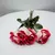 Mimo com 4 Rosas Brazilian Lady na internet