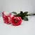 Mimo com 4 Rosas Brazilian Lady - comprar online