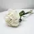 Buquê de 6 Rosas Brancas - comprar online