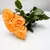Mimo com 4 Rosas Amarelas na internet