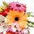 Buque com Flores Nobres na internet
