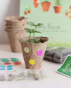 Mi huerta kit para sembrar en internet