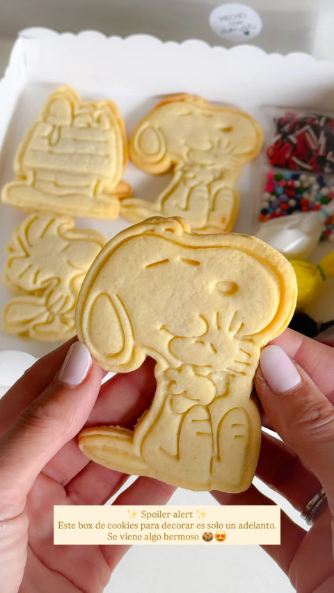 Box Cookies para decorar - comprar online