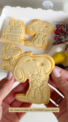 Box Cookies para decorar
