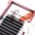 Maria lashes 5D M