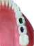 Dente Cariado para Materiais Dentários e Prática Clínica. - comprar online
