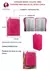 Biblia Reina Valera 1960 Mini-Bolsillo Letra Chica Imitación Piel con cierre Fucsia [RVR.16LMPJR] - comprar en línea